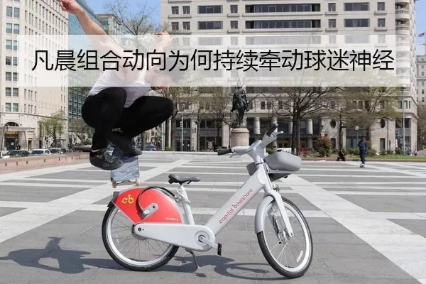 凡晨组合动向为何持续牵动球迷神经